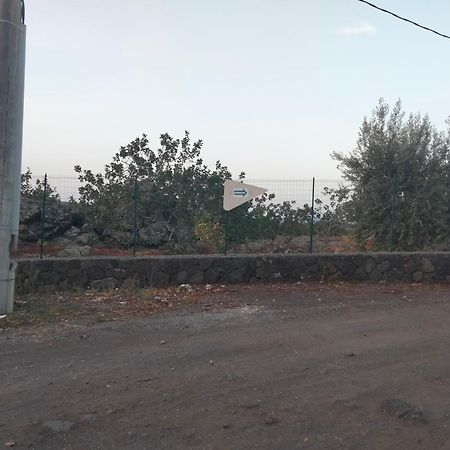 Cuntarati Nature Tourism - Simeto Etna Bronte Ngoại thất bức ảnh