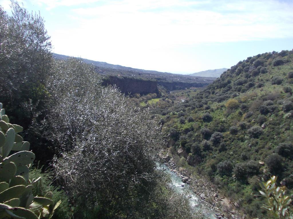 Cuntarati Nature Tourism - Simeto Etna Bronte Ngoại thất bức ảnh